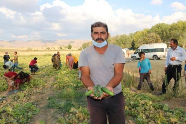 Mevsimlik işçiler alacaklarının ödenmesini istedi