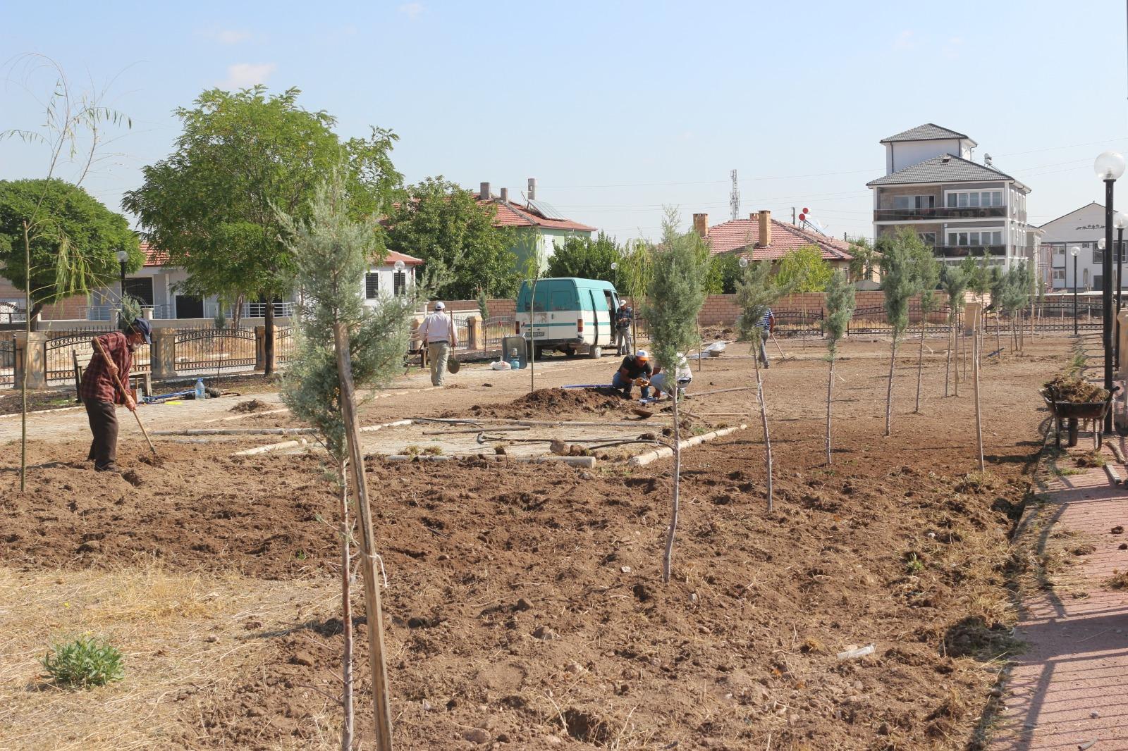 ÇILDIR TARLASI ÇOCUK PARKINA KAVUŞUYOR