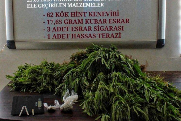 Afyonkarahisar’da kenevir yetiştiren şahıs tutuklandı