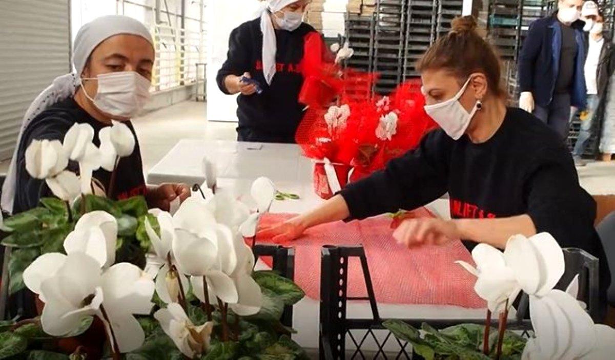 Jeotermal seralarda üretilen çiçekler milletvekili ve bakanlara gönderildi