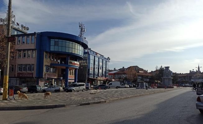 Boş kalan caddeler sokak hayvanlarına kaldı