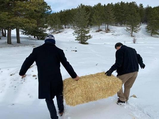 Akdağ Tabiat Parkındaki hayvanlara yem bırakıldı 